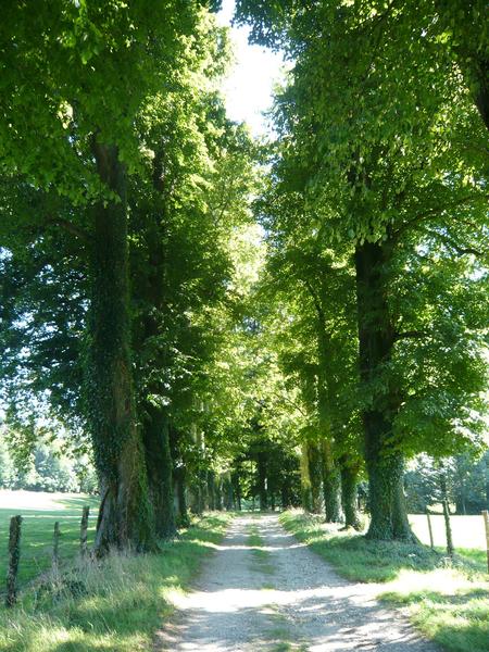 Parc du Château de Soult Berg