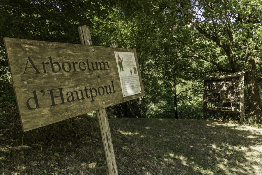 Arboretum of the House of wood and toy
